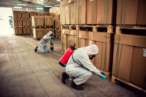 Best Bed Bug Extermination  in Watseka, IL
