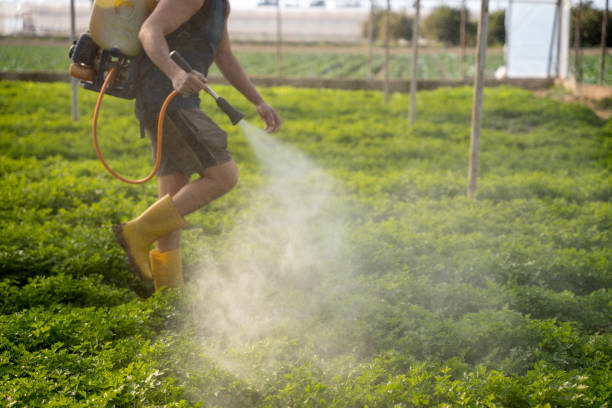 Best Commercial Pest Control Services  in Watseka, IL