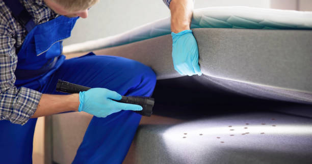 Best Exterminator Services  in Watseka, IL