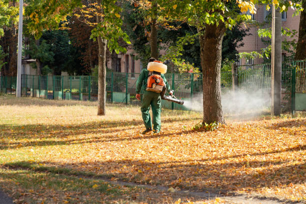 Best Pest Control Near Me in Watseka, IL