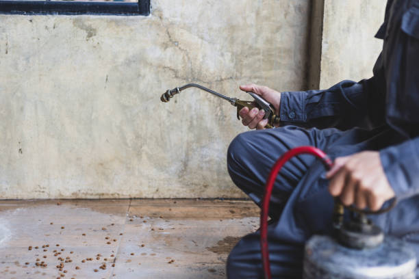 Best Pest Inspection Near Me  in Watseka, IL